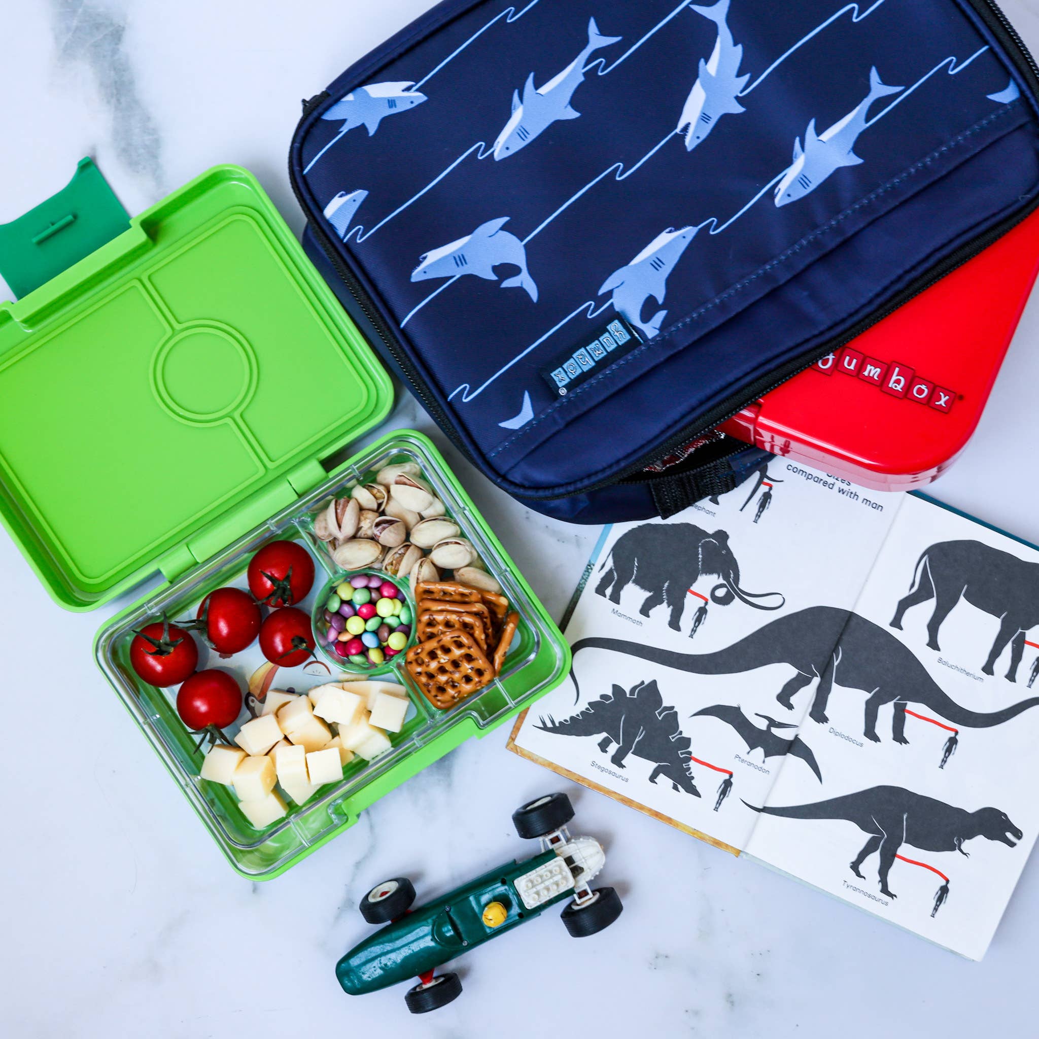Yumbox Auslaufsichere Bento-Snackbox – Grün mit Haifisch-Einsatz - nila kids