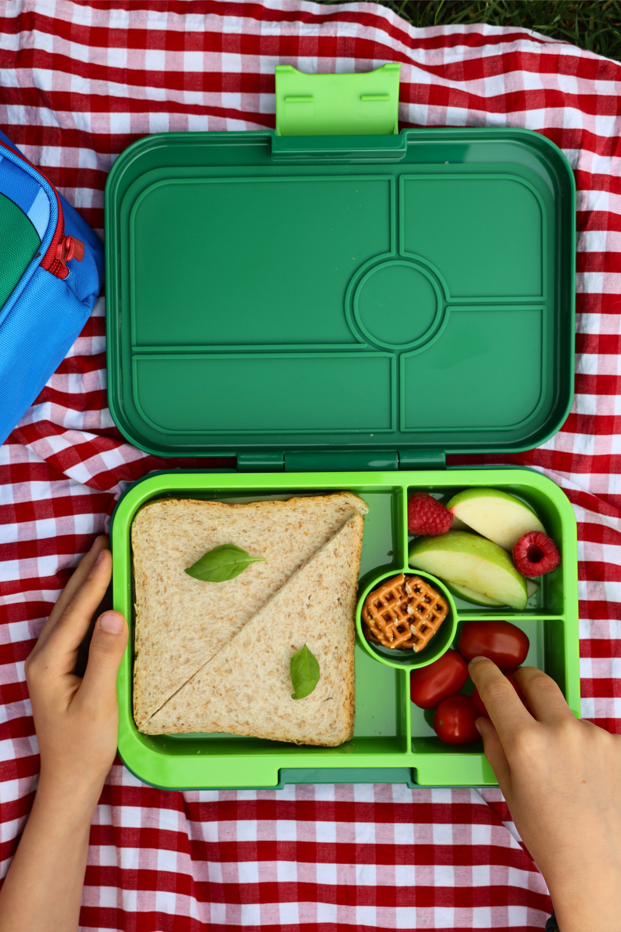 Auslaufsichere Yumbox Tapas Bento Lunchbox - Palmgrün - 4 Fächer Grosse Grösse - nila kids