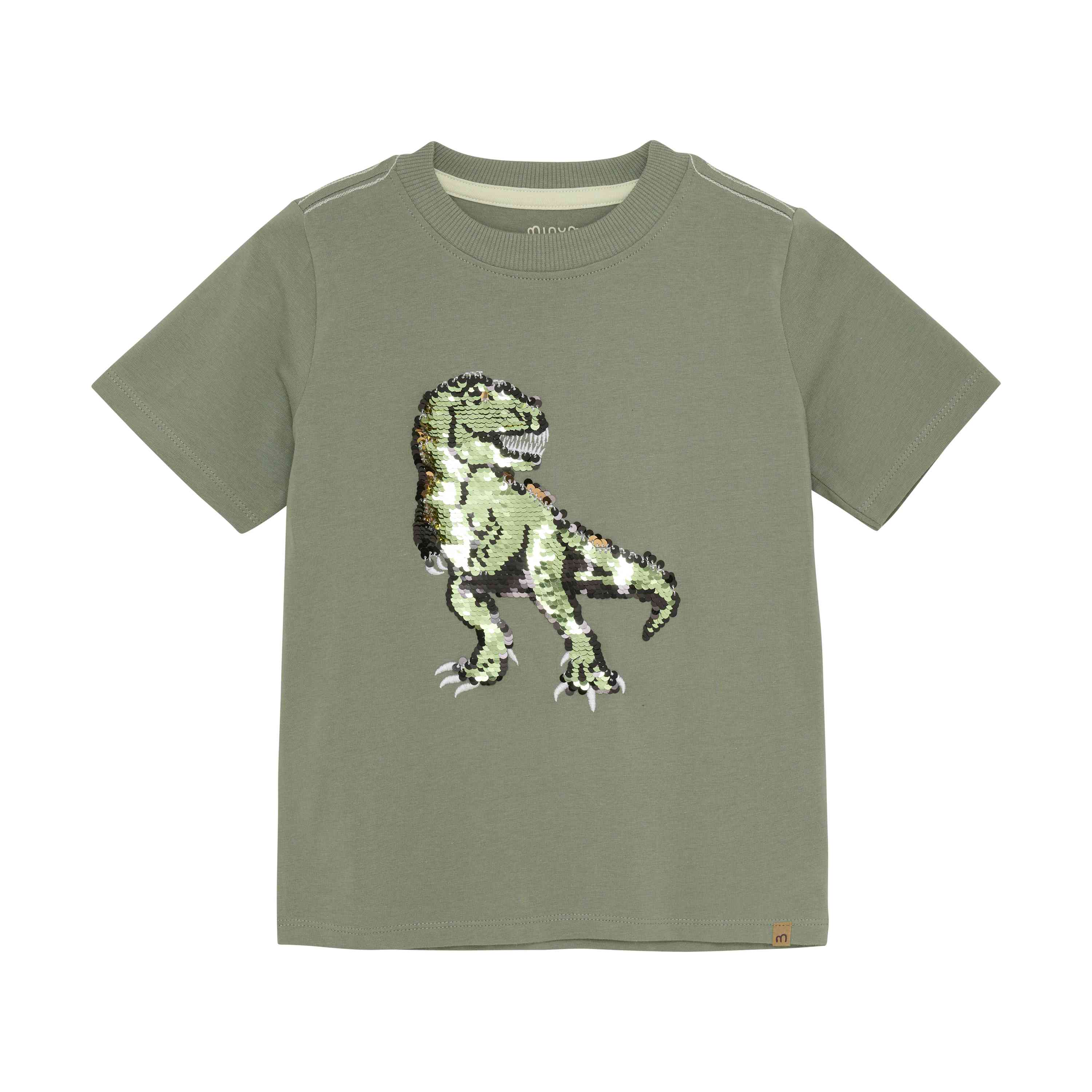 Jungen T-Shirt mit Dinosaurier - nila kids