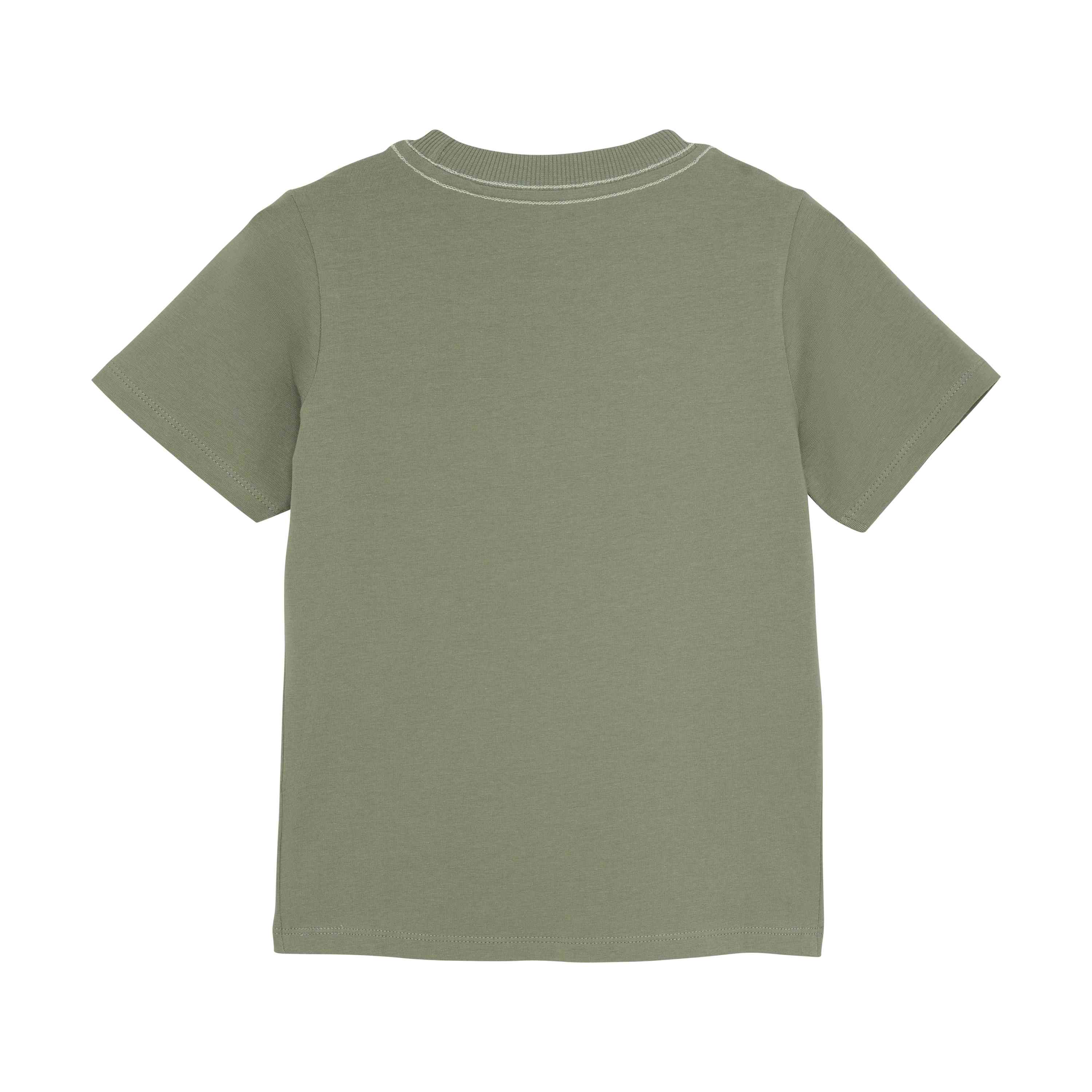 Jungen T-Shirt mit Dinosaurier - nila kids