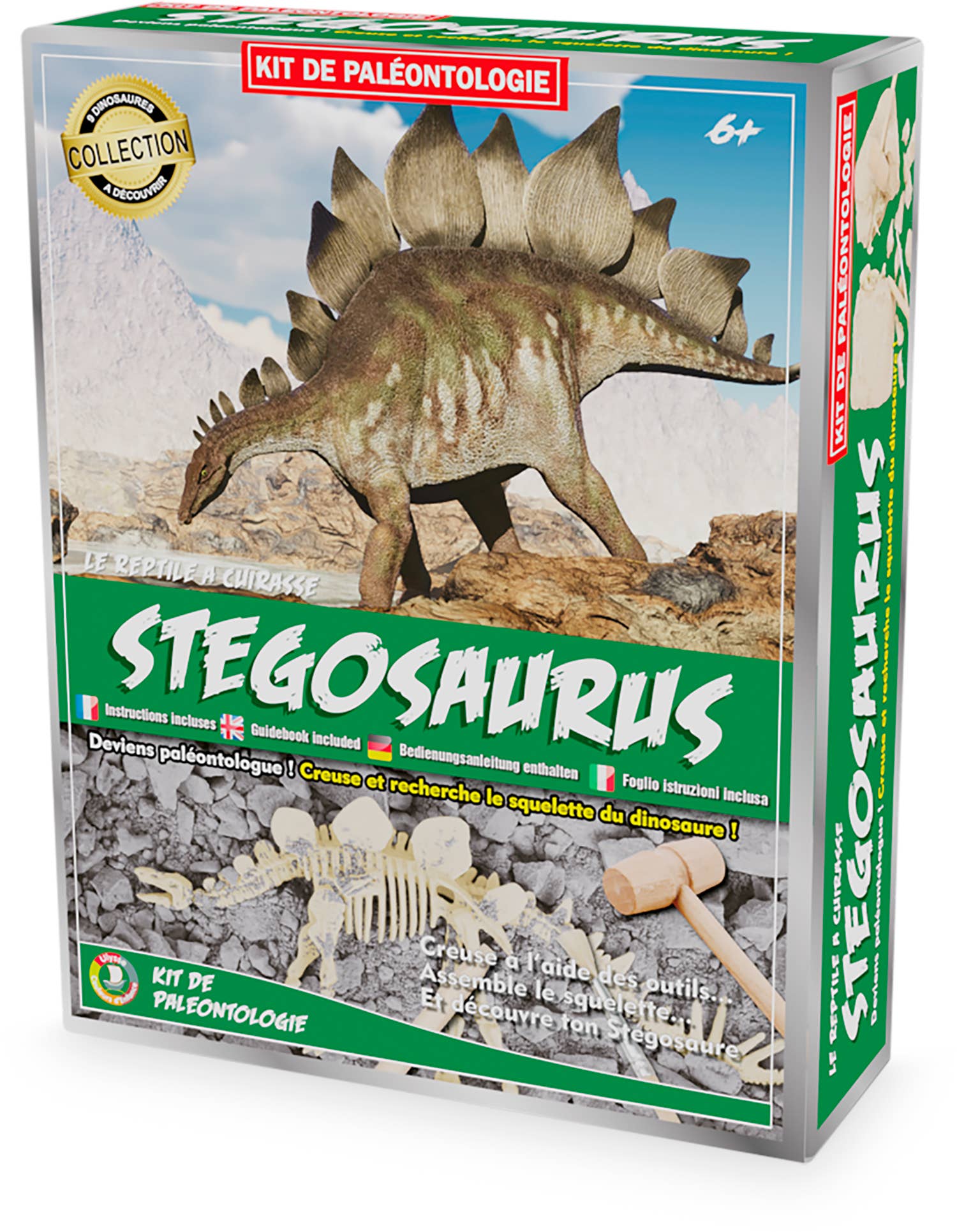 PALEO-KIT: STEGOSAURUS – Dinosaurierskelett entdecken - nila kids