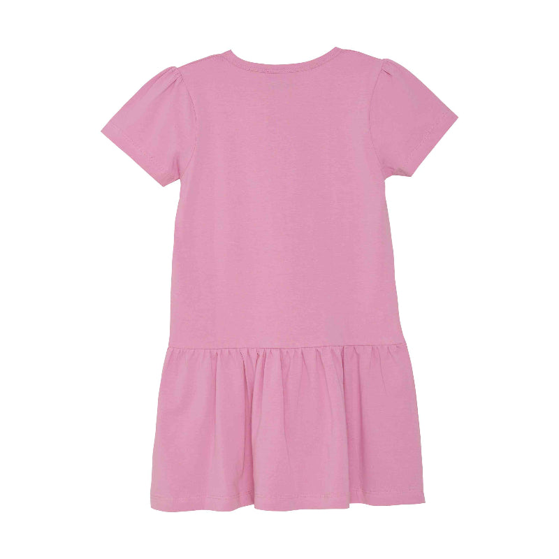 Paw Patrol Kleid „Friends“ – Rosa mit Skye & Liberty - nila kids