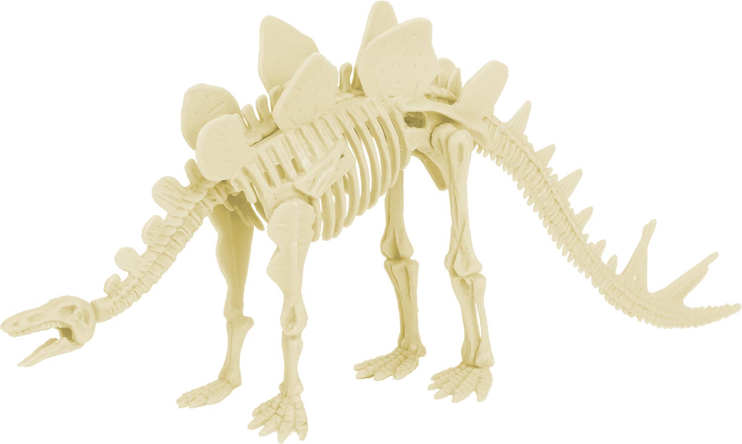 PALEO-KIT: STEGOSAURUS – Dinosaurierskelett entdecken - nila kids