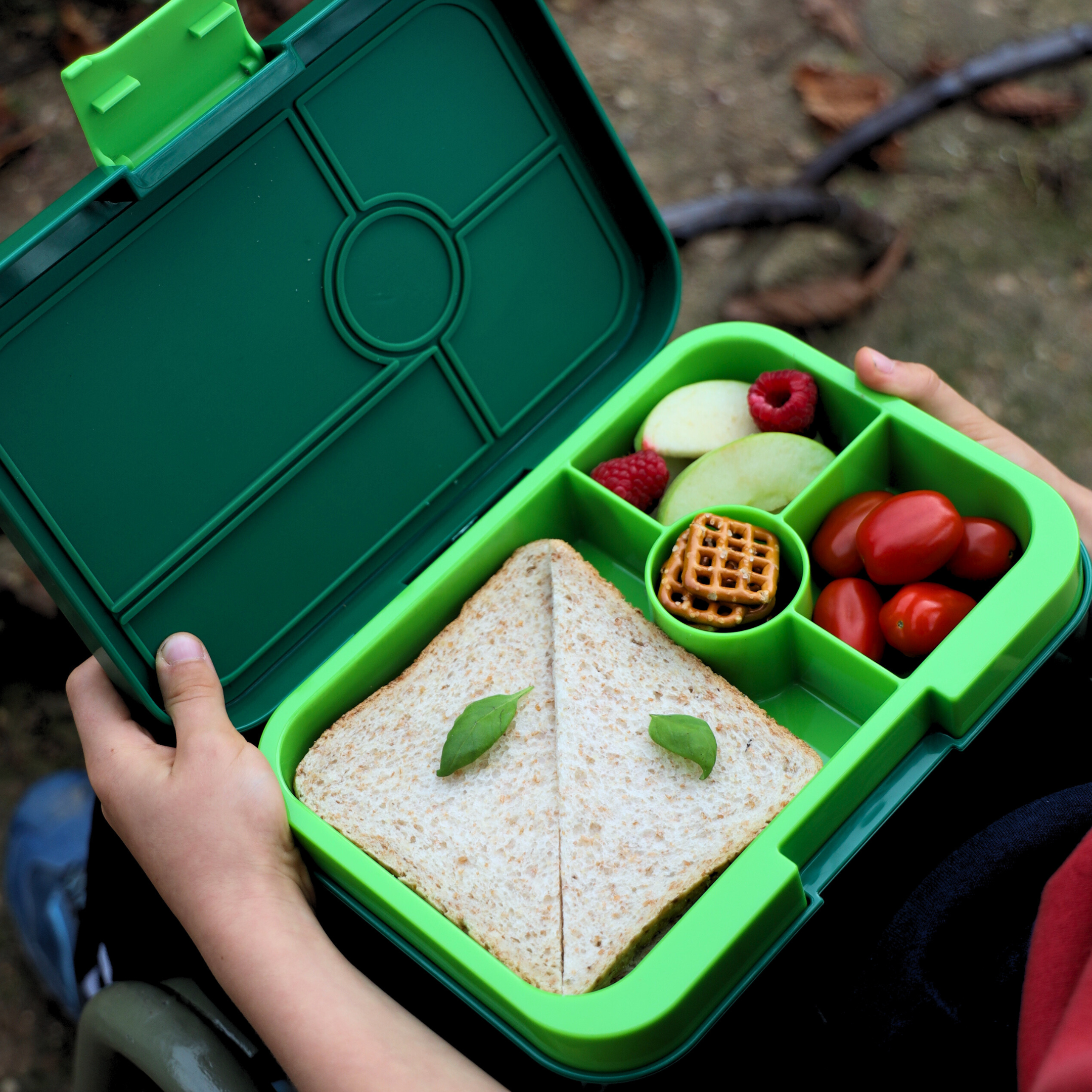Auslaufsichere Yumbox Tapas Bento Lunchbox - Palmgrün - 4 Fächer Grosse Grösse - nila kids